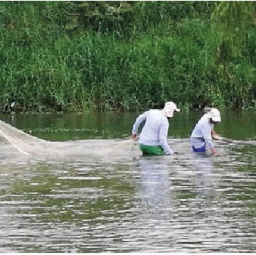 Una nueva relación con los pescadores del río Cauca