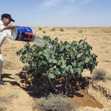 Desertificación y sequía, ONU: Unidos por la Tierra, nuestro patrimonio y futuro